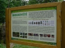 broukoviste_8_20120719_1985705926.jpg